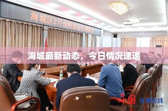 海城最新动态,今日情况速递